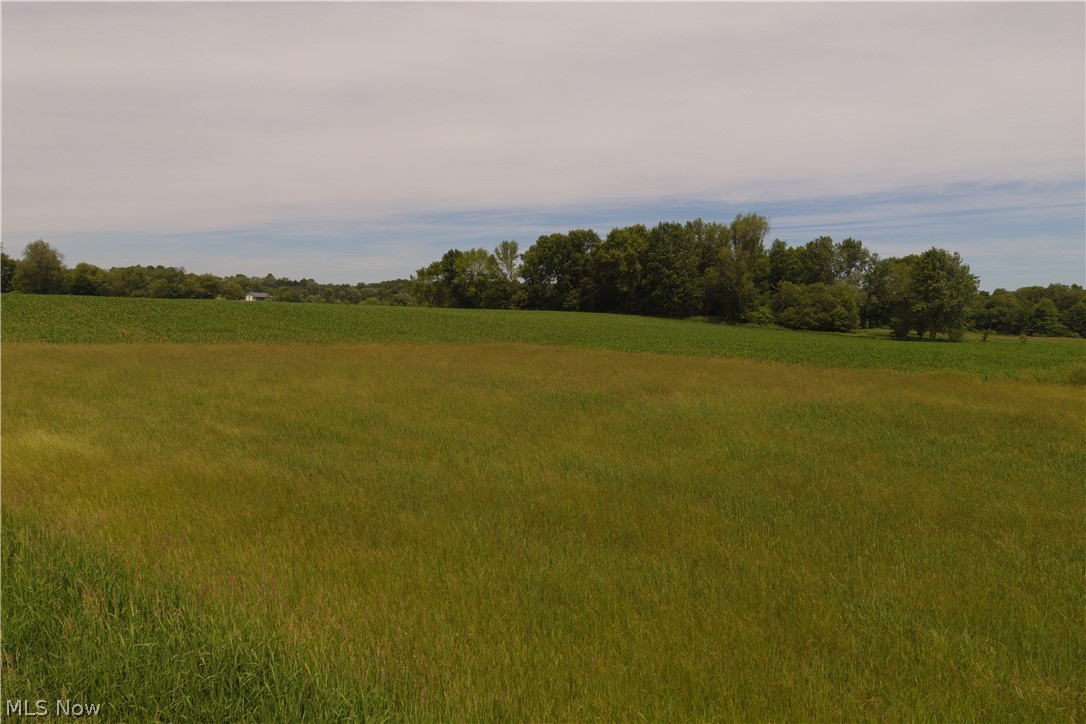 Randolph - Land