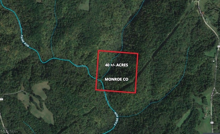 ABSOLUTE AUCTION ON 08/09/2018 @ 6:00 PM. If you are looking for a secluded tract of forest land tucked away from fast paced America with a paved road leading into it ….. This is NOT your property! If however you still have a sense of adventure stirring somewhere then you owe it to yourself to see if you have what it takes to locate and walk this property!  Rugged seclusion and privacy at its finest along with mature woods and marketable timber make this tract of vacant land desirable. Paine Run Creek meanders through the SW portion of the property.  Feel free to walk the property at your convenience and risk prior to auction ending. Brock Ridge Rd. maintenance ends at least ¾ mile prior to reaching the property, continue to follow the roadway and you will arrive at the cabin pictured online.  The property will sell to the highest bidder regardless of price!  Online Auction bidding close date is Thursday, August 9 at 6:00 PM with extended bidding.? Auction is scheduled to begin closing
