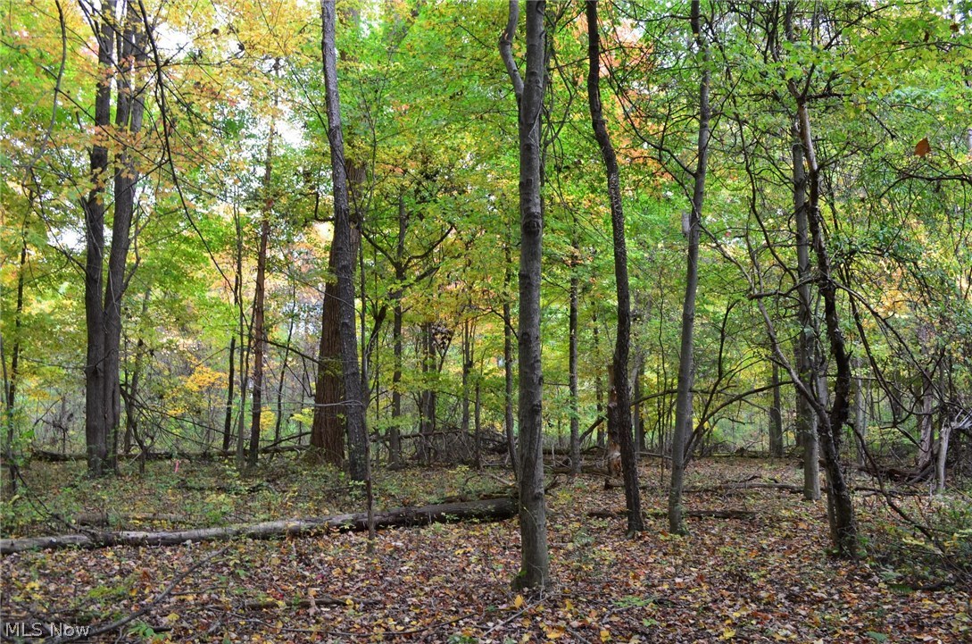Wooded 1.5 acre building lot on quiet side street in Kenston School District.   ~208 feet of frontage.  Gas, electric and city water on road.  Very convenient location 9 minutes from downtown Chagrin Falls 1 mile from freeway access (422/306)