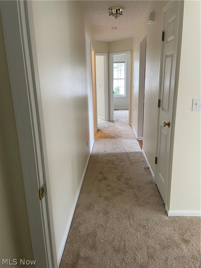 Woods Strongsville - Residential