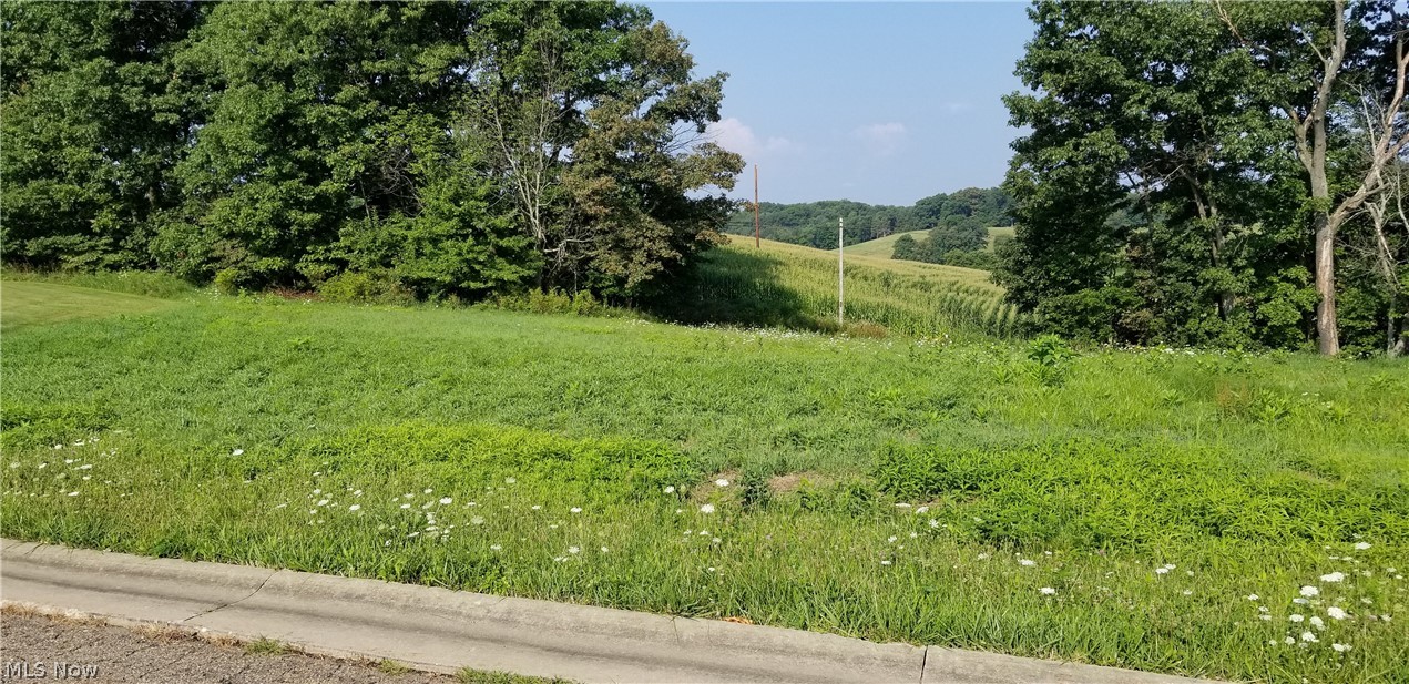 Wonderful building lot in Countryside Estates! Located on a cul-de-sac with limited traffic and access to a township road also. Approx 1 acre lot with scenic country views, and a level homesite. Really handy to all of town conveniences yet away from the main road traffic noise. Deed restrictions and village zoning applies. All utilities are at the street. Bring your contractor and check out this property! Gas, oil, and minerals are negotiable.