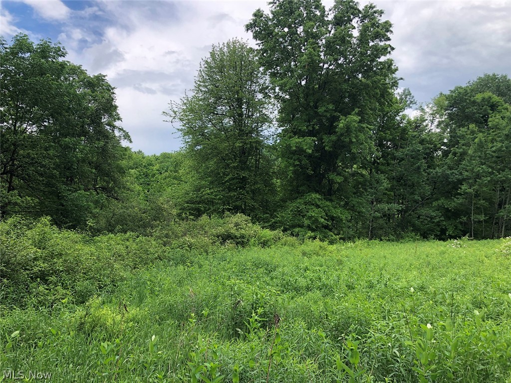 Mantua - Land