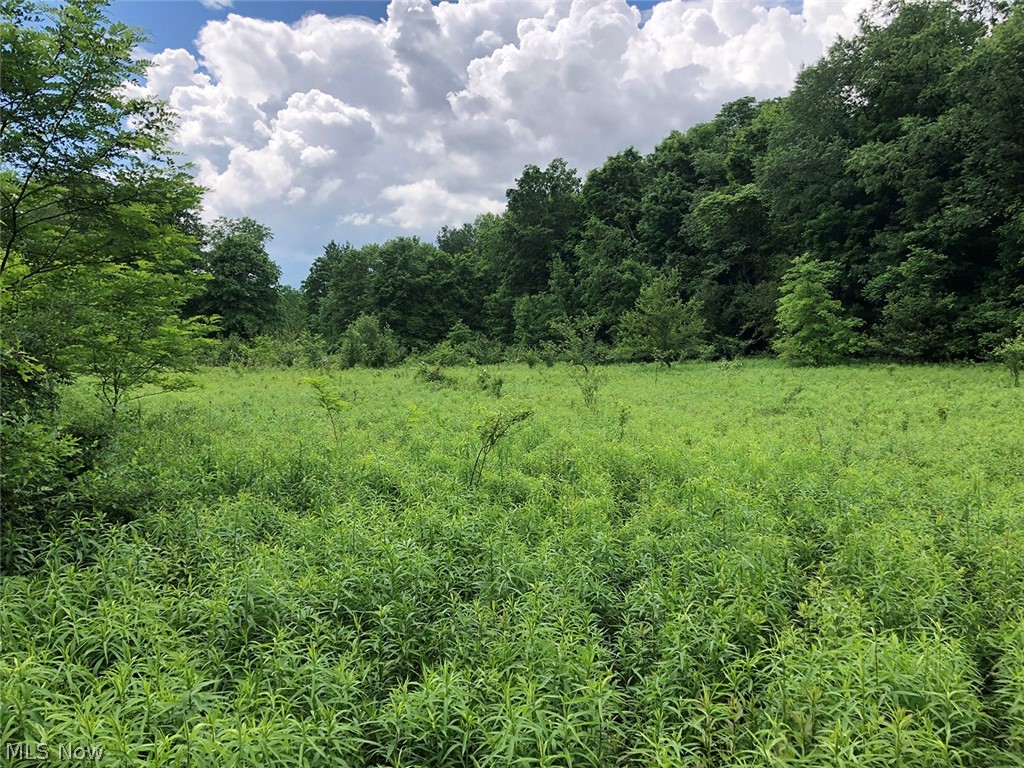 Mantua - Land