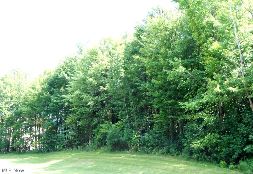 Crown Pointe Estates - Land