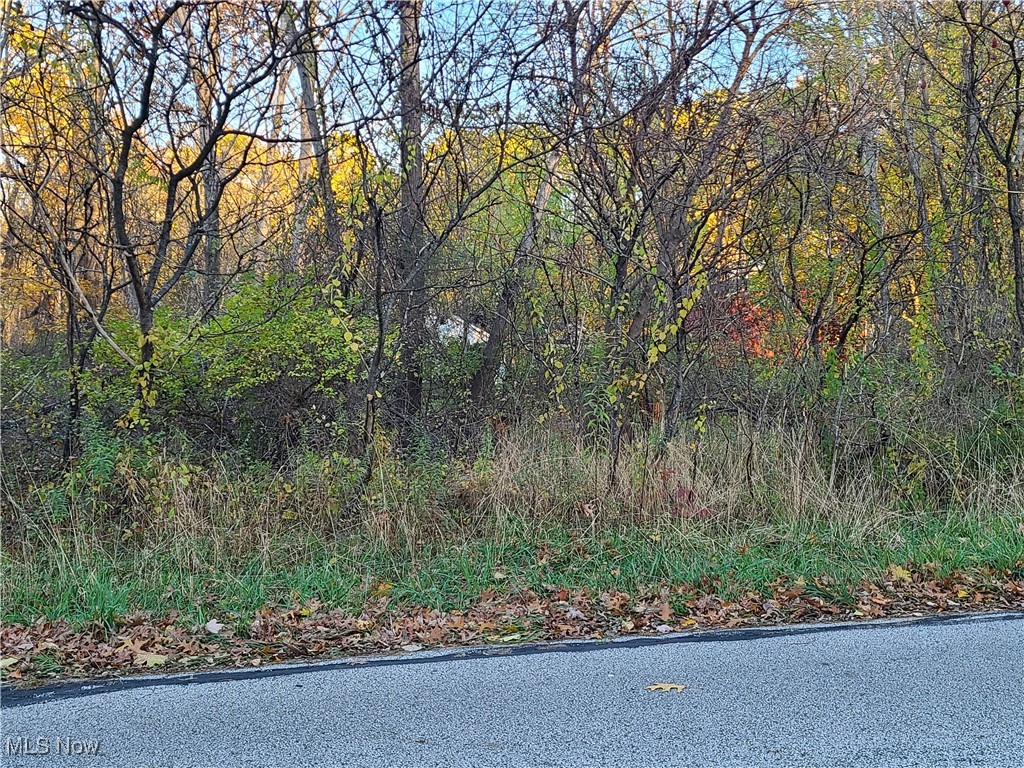 Kent Park - Land