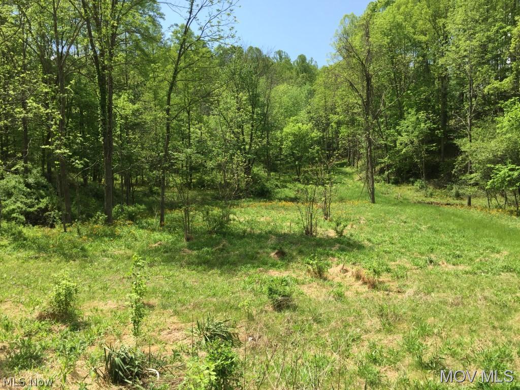 60 acres of Hunting and recreational land easily accessible just 1/10 mile off Rt. 47 on Gravel county maintained road in Ritchie County.  Elem: Smithville Elementary School  Elem/Bus: Y  JrHigh: Ritchie County Middle School  JrHigh/Bus: Y  High: Ritchie Cty. High  High/Bus: Y  Fire: VOL  Police: SHF