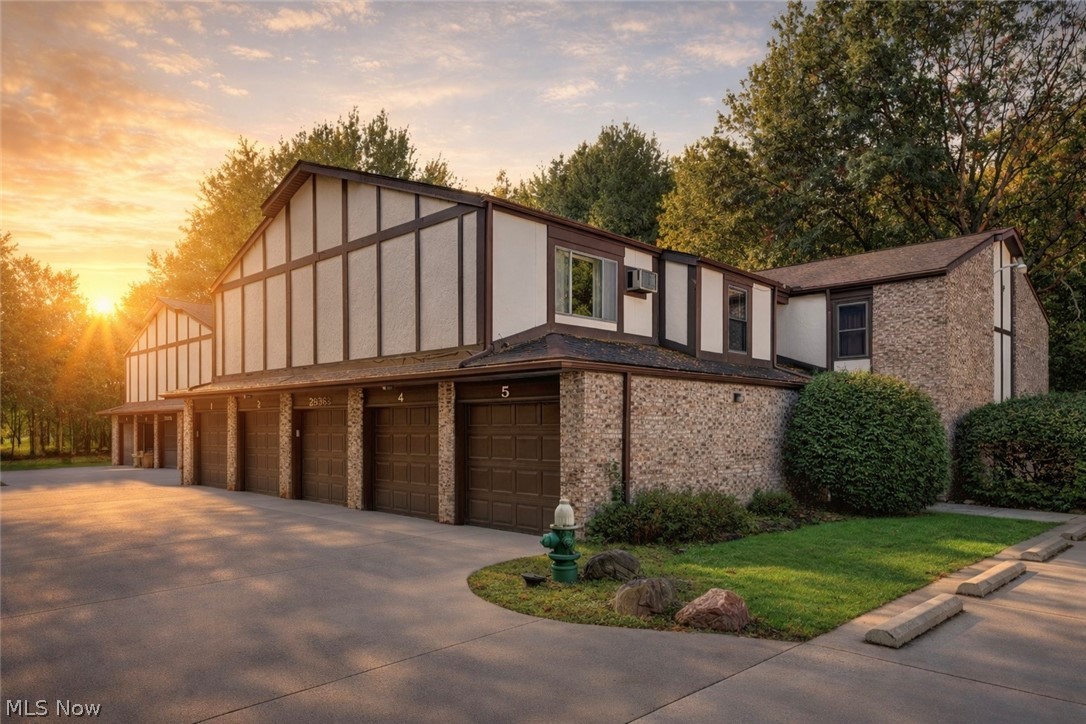 Pine Tree - Residential
