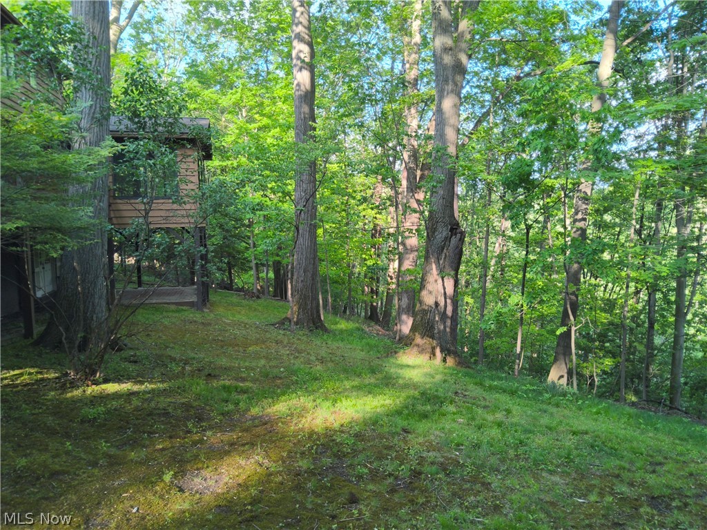 Timber Ridge Estates Sub - Residential