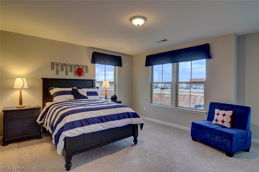 The Preserve at Salt Creek - Residential