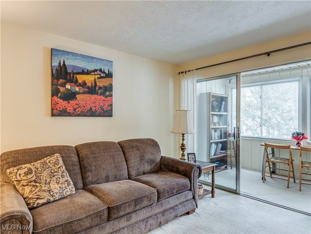 Silver Lake Towers Condo - Residential