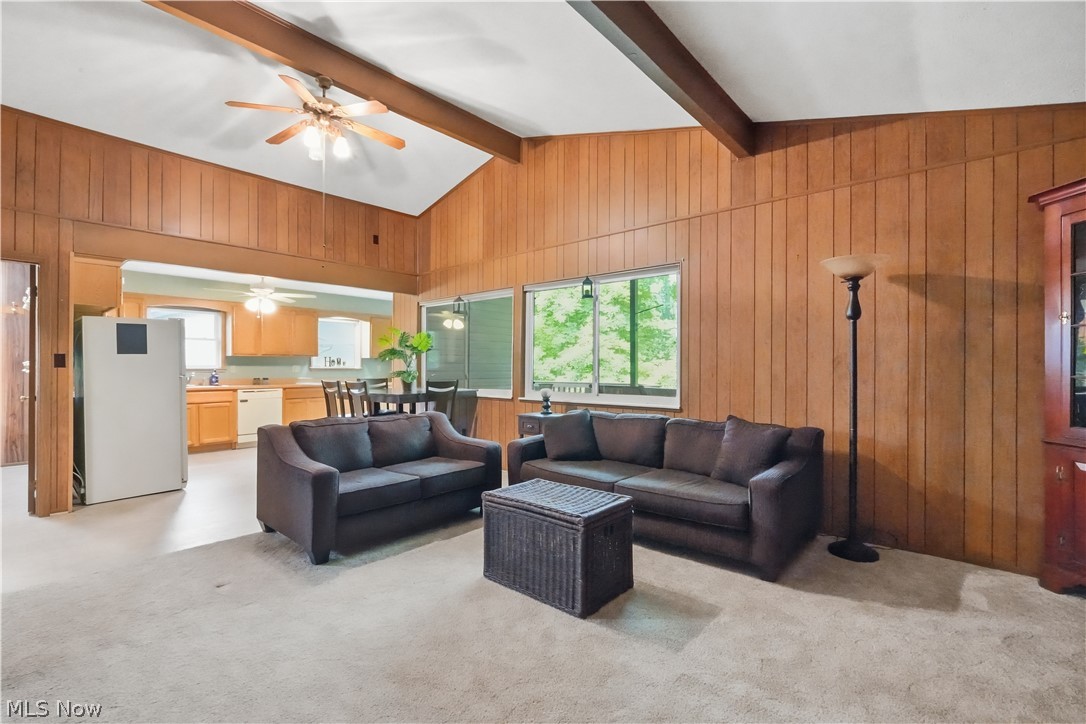 Cinnamon Lake - Residential