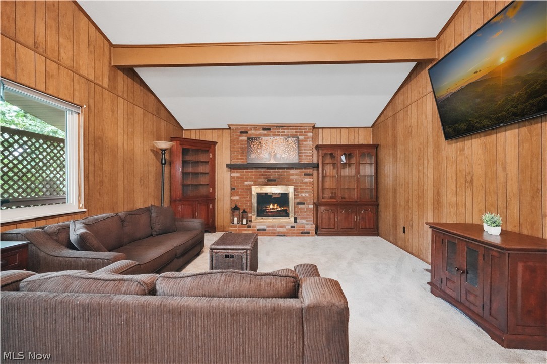 Cinnamon Lake - Residential
