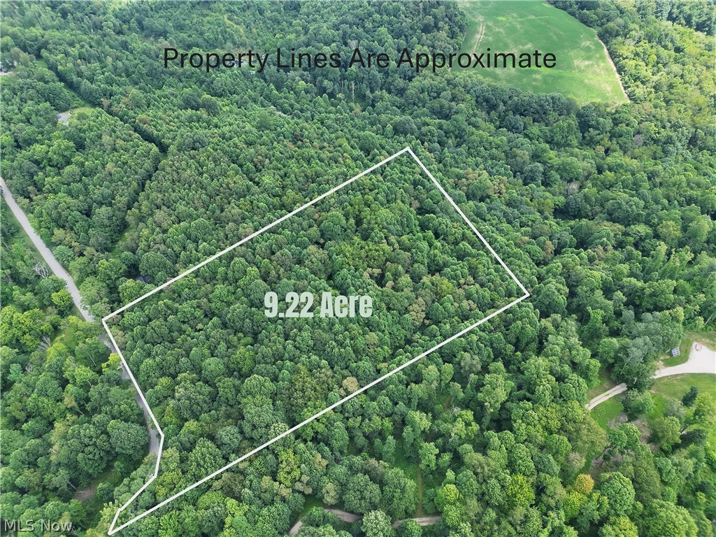 Discover the perfect blend of privacy and recreation on this beautiful 9.22-acre wooded tract in Carroll County, Ohio. This property offers an excellent opportunity to build your dream home, weekend cabin, or private country retreat. The entirely wooded setting provides natural privacy and creates quality habitat for the deer and turkey that frequent the property. A small natural spring offers the potential for redevelopment and could become a unique feature of the land. Whether you are looking for a quiet homesite, a recreational getaway, or a manageable hunting property, this versatile tract offers plenty of possibilities.