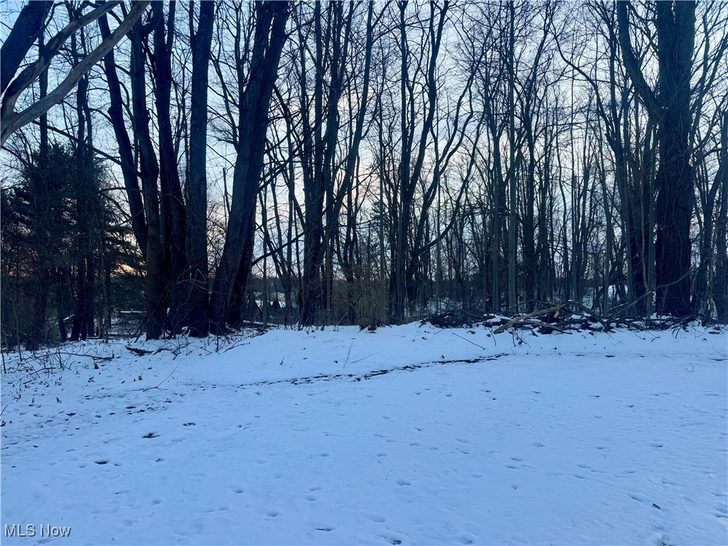 Brimfield - Land