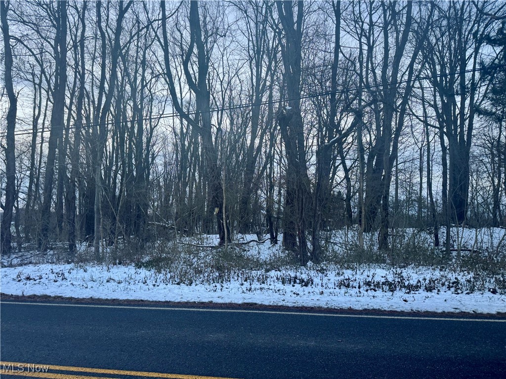 Brimfield - Land