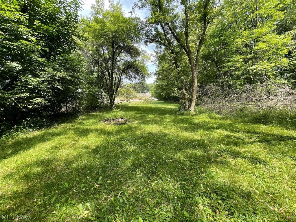 Ewart Farm - Land