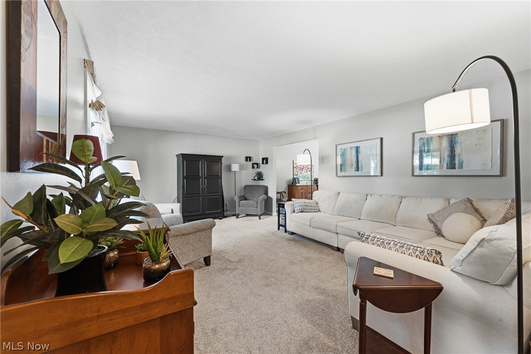 Bob O Link - Residential