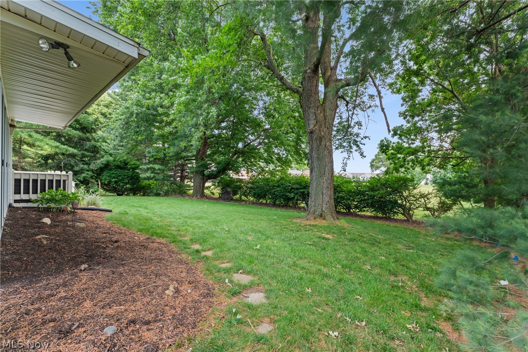 Bob O Link - Residential