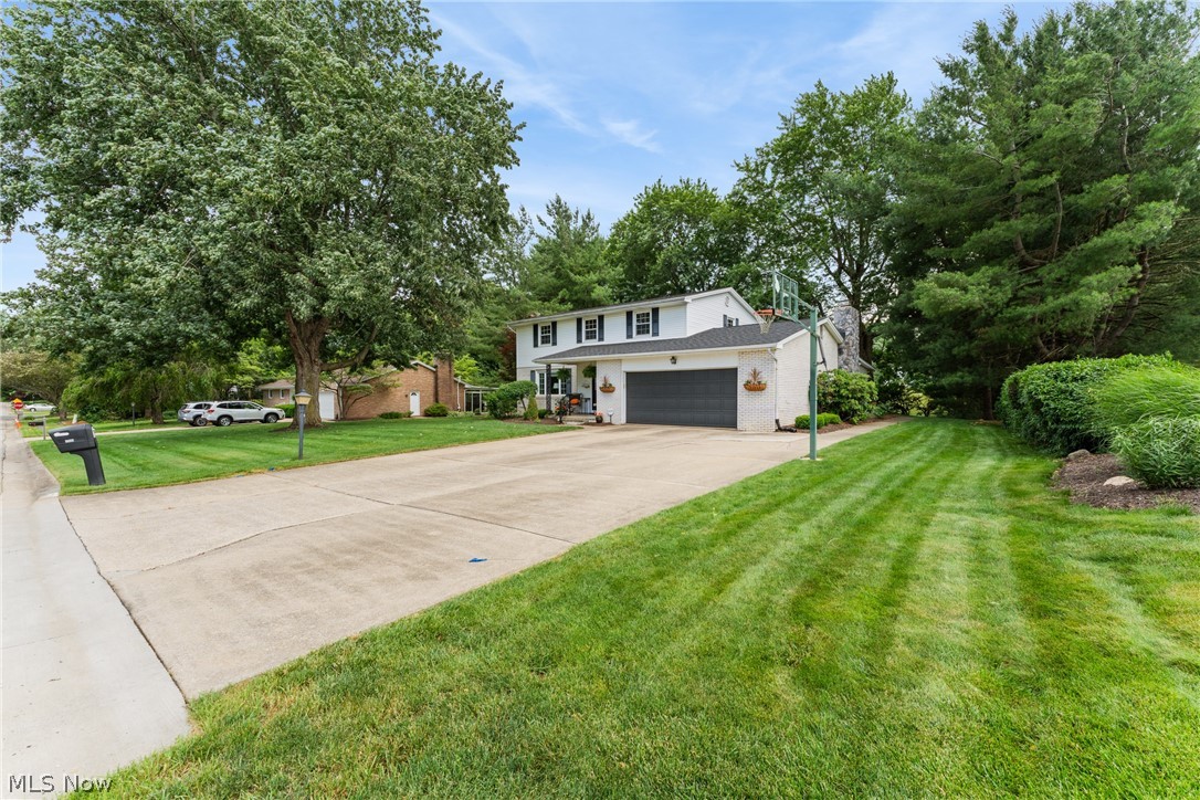 Bob O Link - Residential