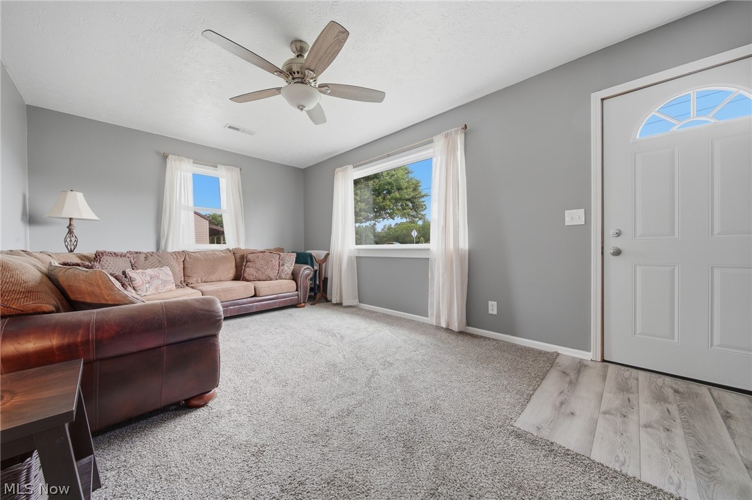 Braceville Township Original - Residential