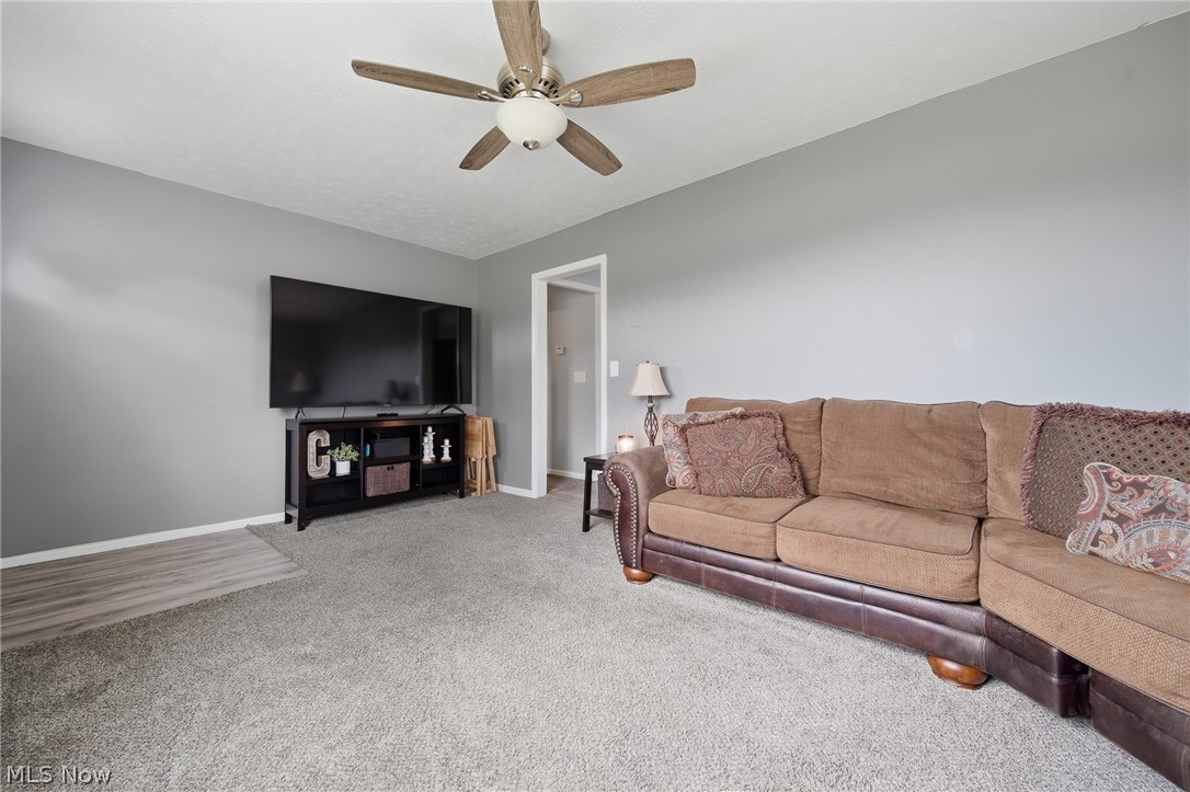 Braceville Township Original - Residential