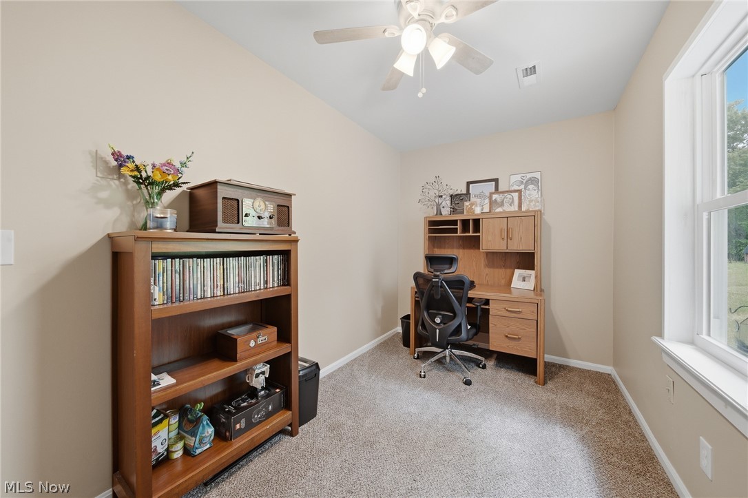 Braceville Township Original - Residential