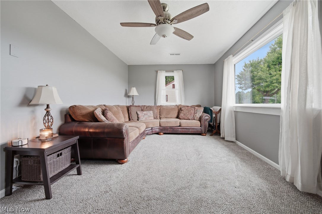 Braceville Township Original - Residential