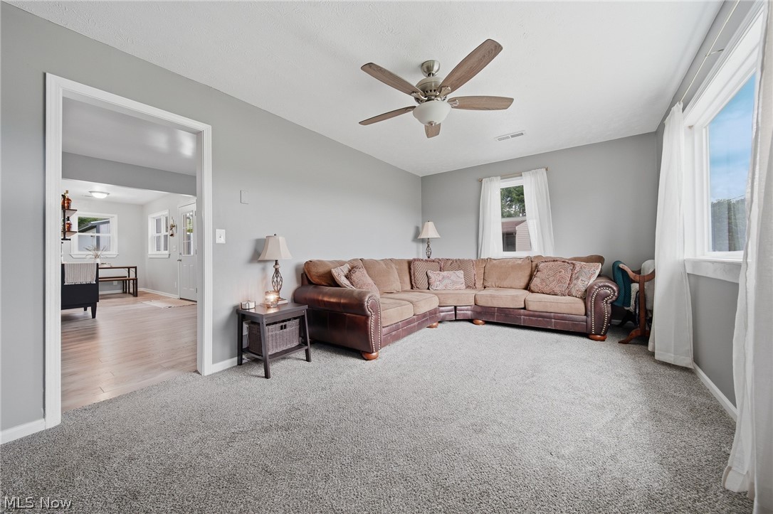 Braceville Township Original - Residential
