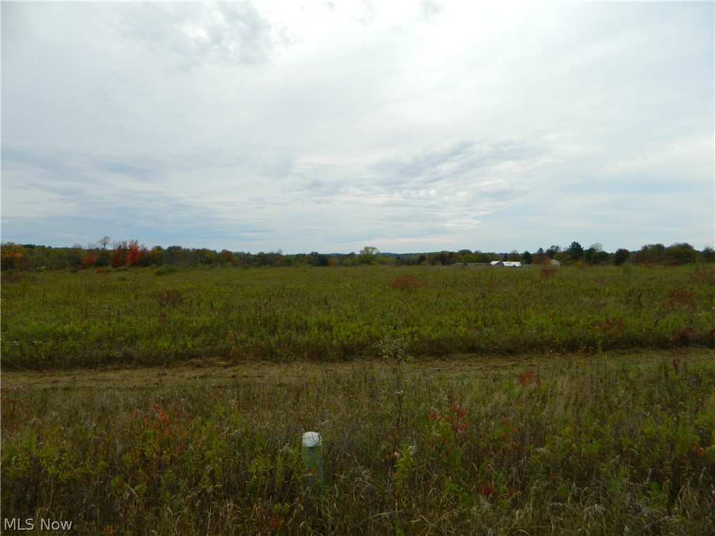 This beautiful county lot is located in Nelson Township just 2 miles from Historic Garrettsville. The property is centrally located between Cleveland and Youngstown, and a short drive to Routes 305, 422, 82, and 88.