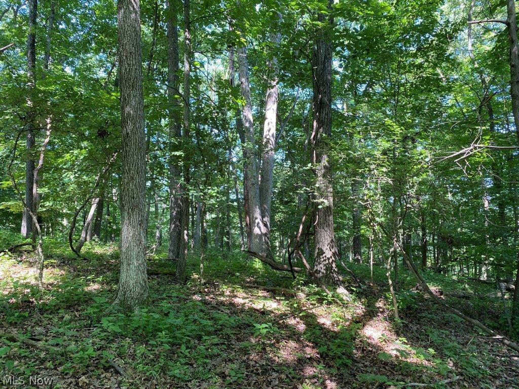 United States Military Lands - Land