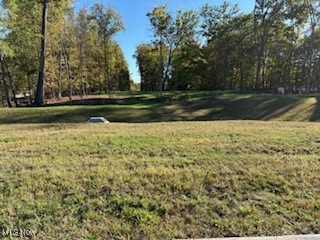 Wonderful fully improved, treed 2 acre building lot available now in Montville Township! Enjoy the beauty of Medina County within easy driving distance of Medina Square. Excellent access to access to I-71  and 271, close to medical facilities, shopping and the future Medina County Park Bike Trail. Bring your own builder!  This scenic 2 acre lot offers space to build an additional spacious outbuilding.  Animals are permitted, see Montville Township Zoning. The slope of the lot allows for a walkout basement.
 No Homeowners Association rules or fees. Montville township building requirements for home size.  This lot has available at the street city water, city sewer, electric and gas.
 Montville Township has no city income tax.  

Direction, If coming from 71, take 18 west to Foote Road, turn south on Foote to Timber Trail.