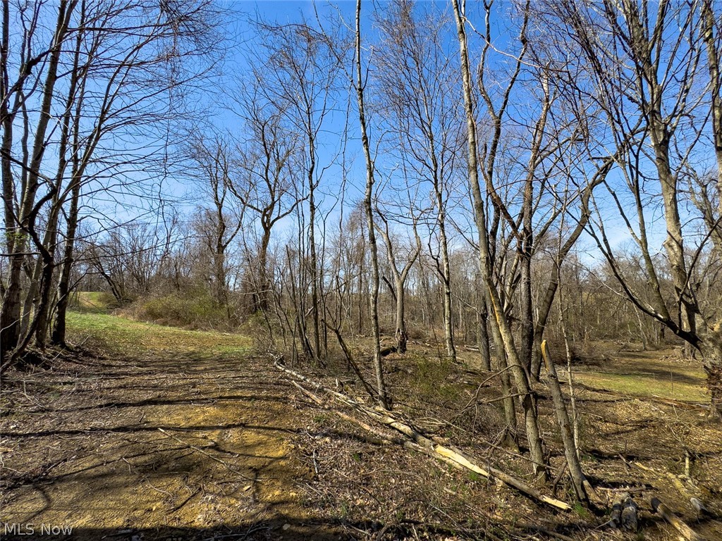 Lonesome Road Ests - Land