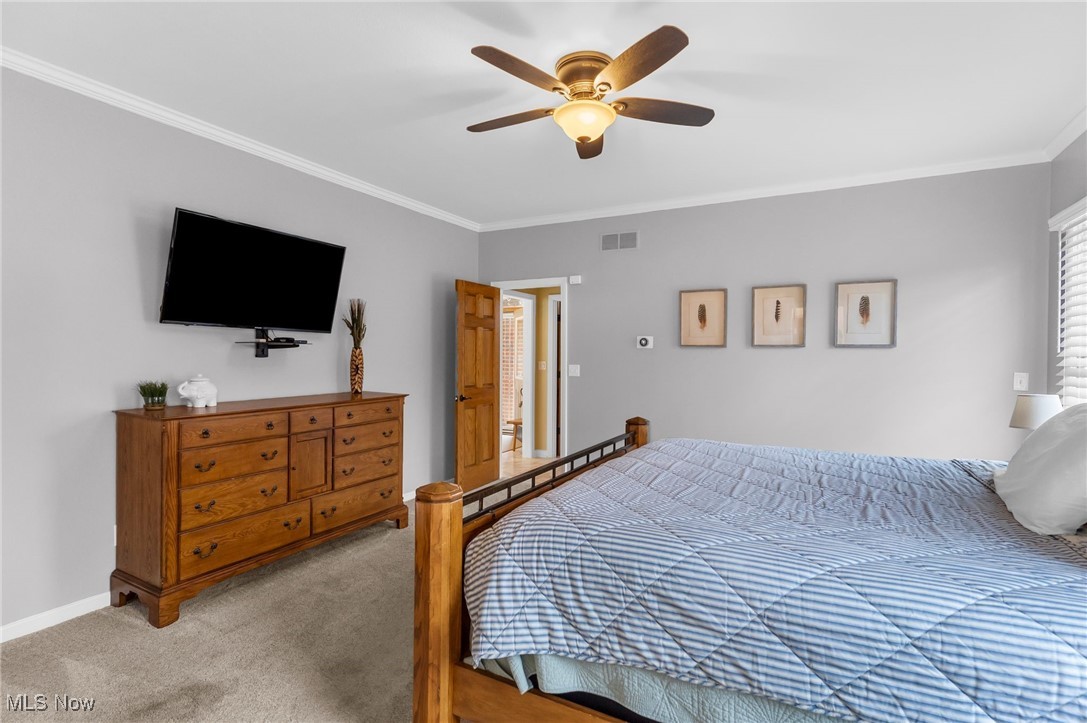 Shadydale 02 - Residential