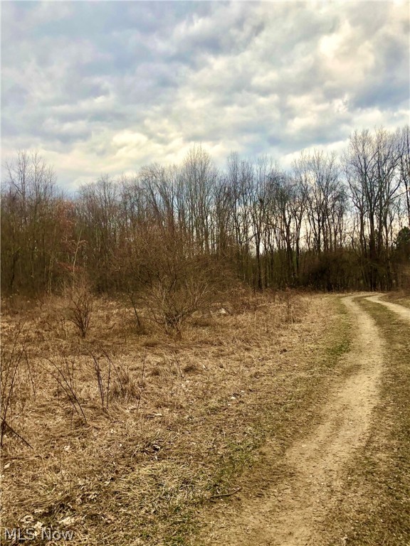 Brimfield - Land