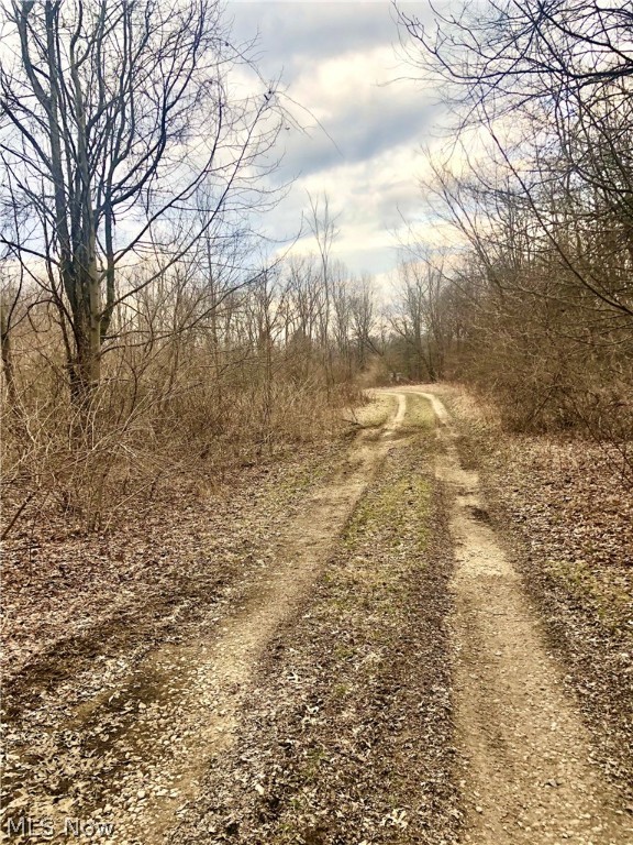 Brimfield - Land