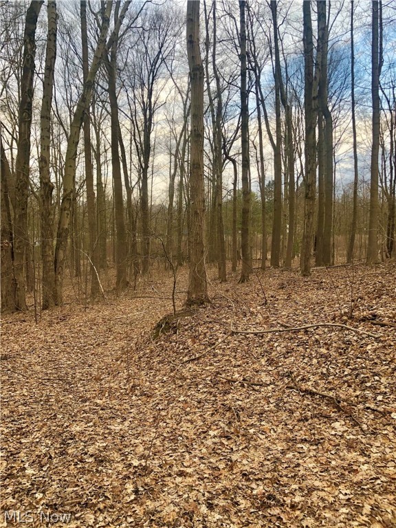 Brimfield - Land