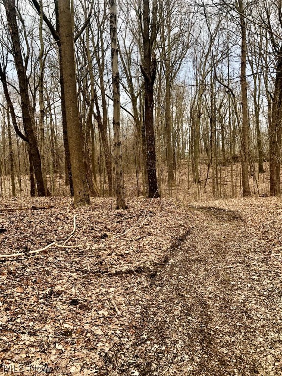 Brimfield - Land