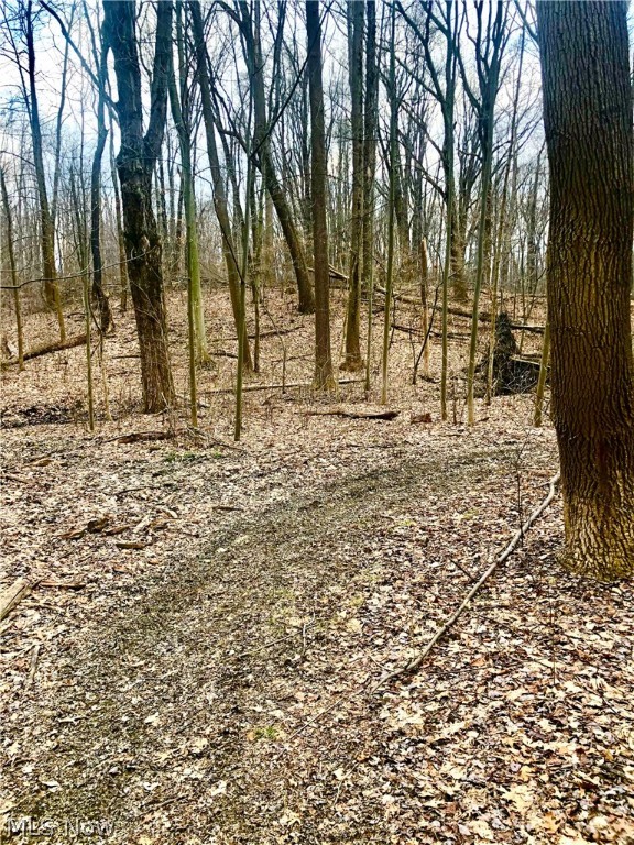 Brimfield - Land