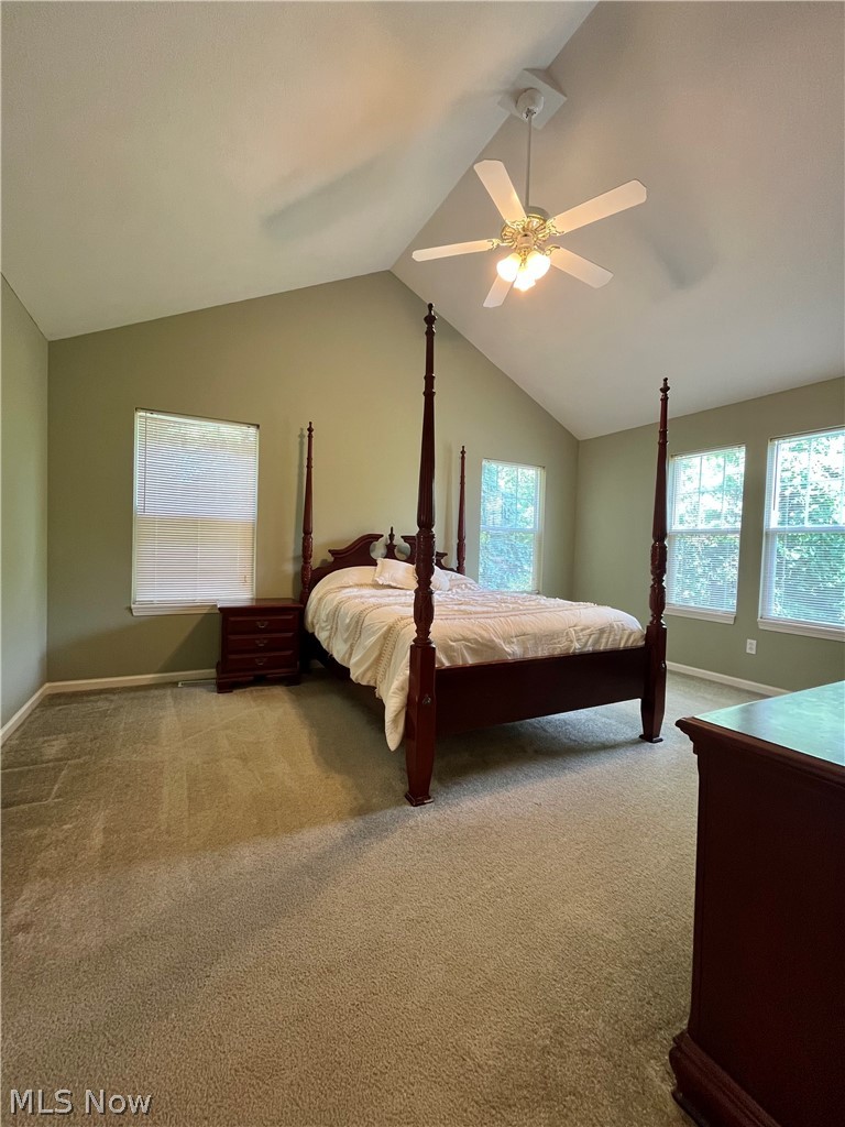 Middle Ridge Condo - Residential
