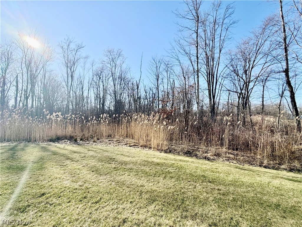 Riverwood Village 4 - Residential
