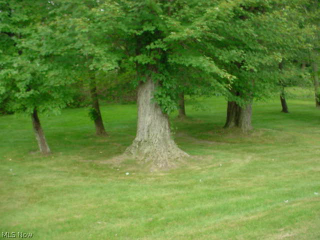 Orchard Gulf Homesites - Residential