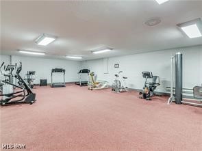 Silver Lake Towers Condo - Residential