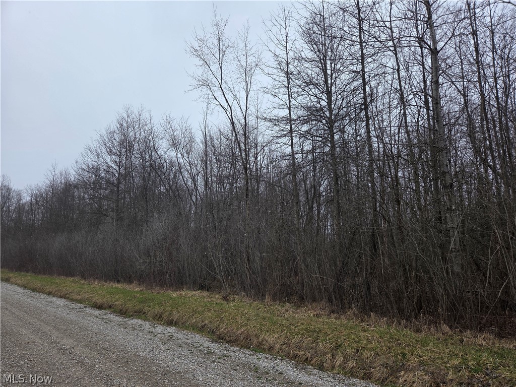 10+ acres, mostly wooded with hunting blind and great hunting! The path has rubber on it from tires and there are some tires laying on property.