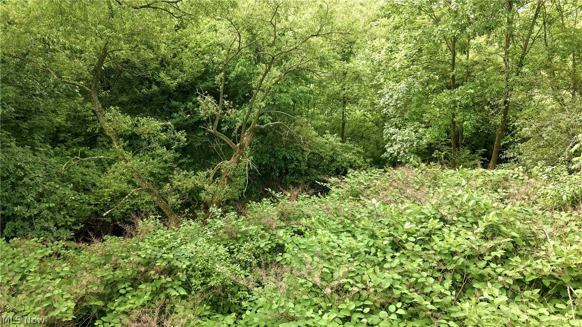 Brookhollow - Land