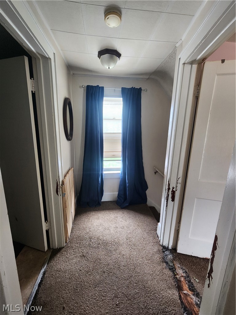 Mcalpine Heights - Residential