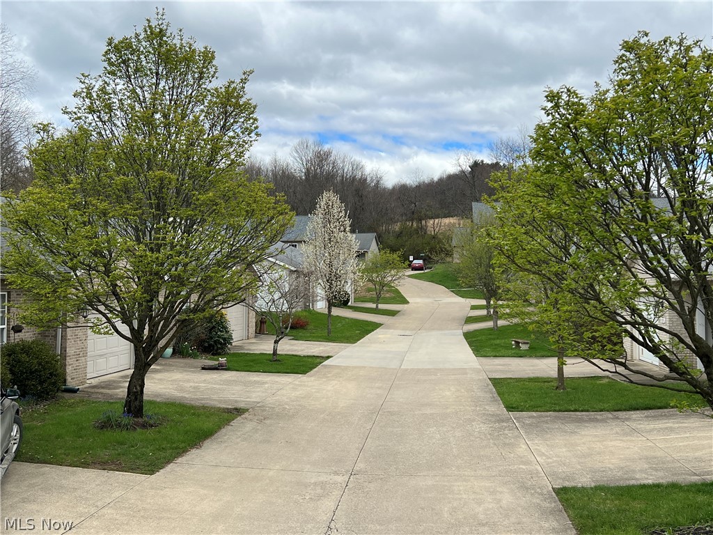 Brambly Hedge Knoll Condo - Residential