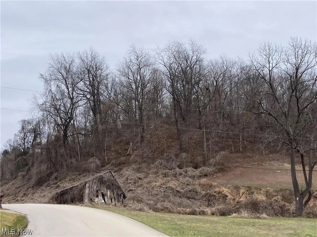 Looking for a little spot out in the country for a weekend getaway? This may be for you! Close to the river and Rail Trail, this little slice would be a great place for a getaway cabin. Utilities are not on the property, but run past. Call for more information!