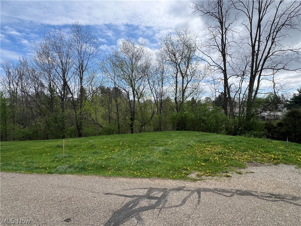 In town vacant lot with public utilities available and new survey.