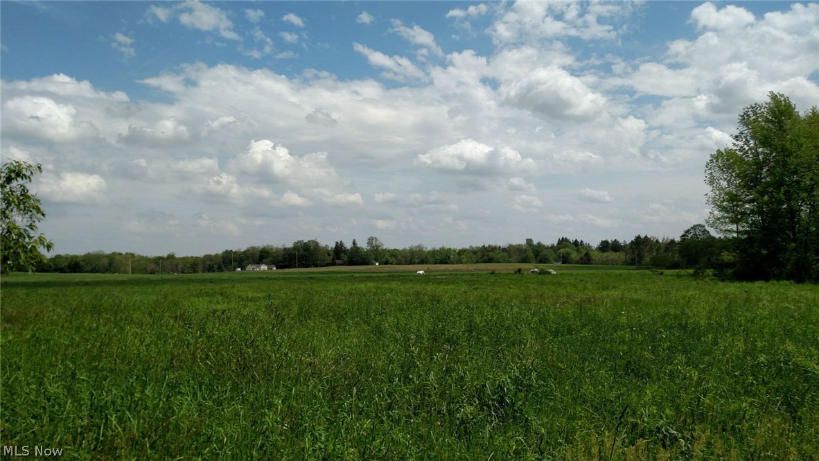 Newbury - Land