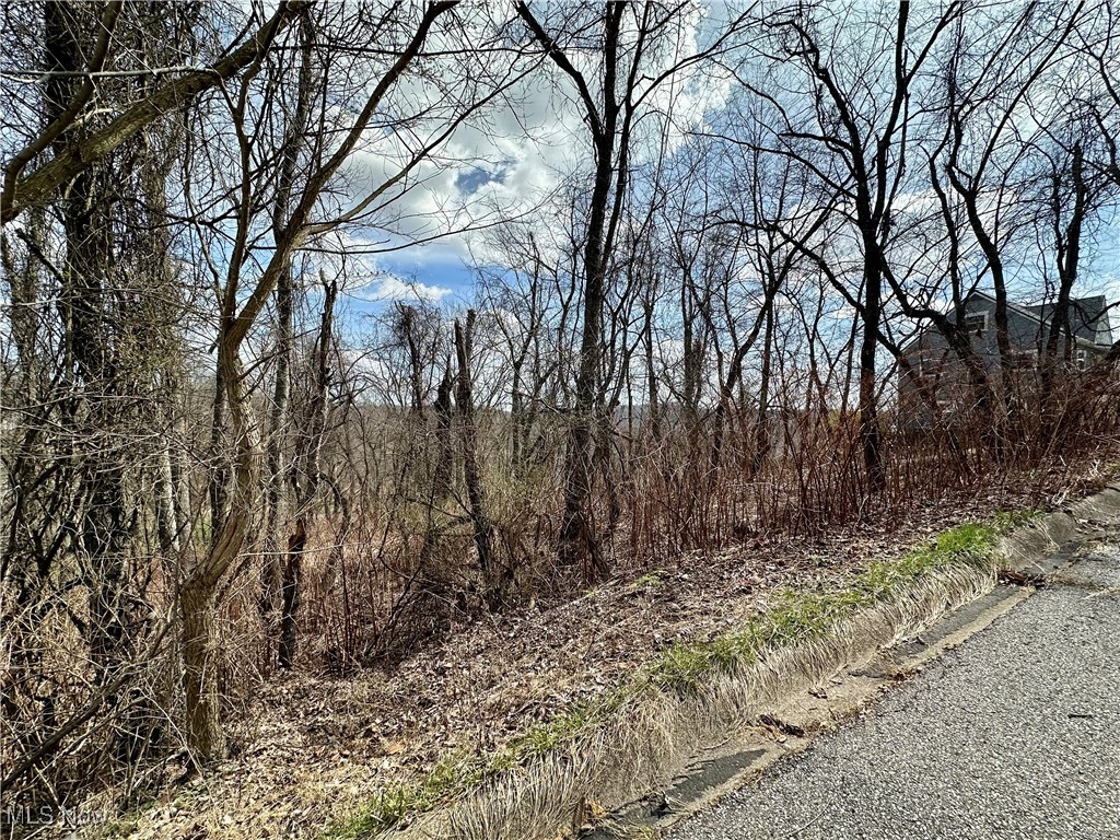 Looking for the perfect spot to build your dream home or investment property? This half-acre lot, in the well-kept neighborhood of Weircrest, offers the best of both worlds - peaceful surroundings while staying close to shopping, dining and essential conveniences. Don't miss out on this affordable opportunity - call today!